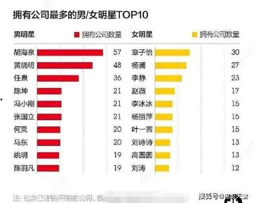 娱乐圈旗下公司,多元化娱乐生态圈全解析